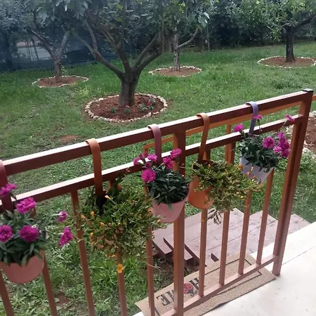 Apartament Franceschi Poreč